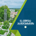 რა კეთდება აბაშელებისთვის 2013-2020 წლები